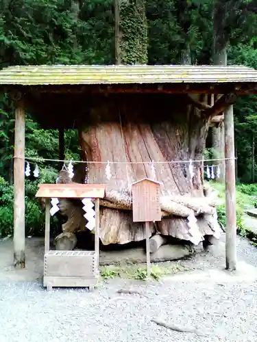 小國神社の自然