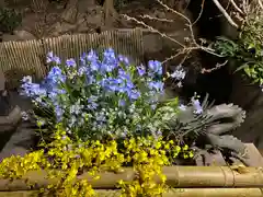 東海市熊野神社の手水