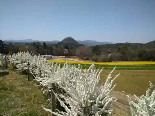 巳徳神社の周辺
