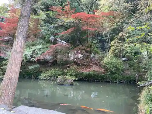 大縣神社の自然