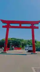 照島神社の鳥居