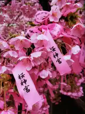 桜神宮(東京都)
