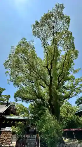 和泉國一之宮　大鳥大社(大阪府)