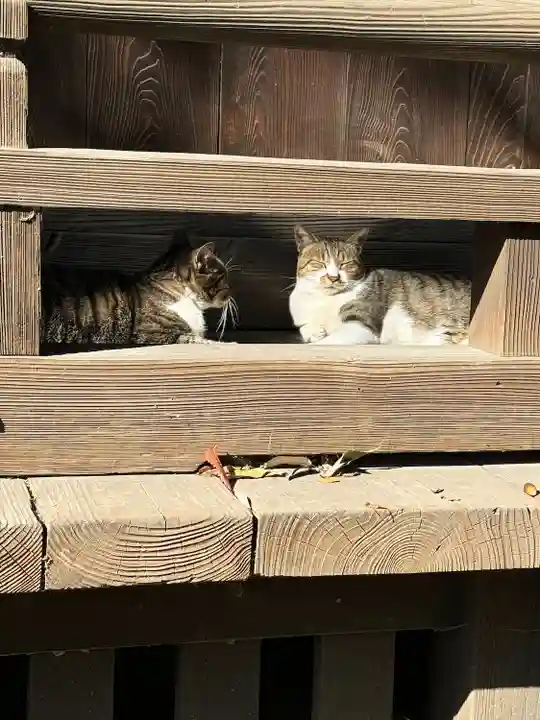 阿邪訶根神社(福島県)