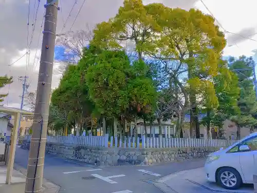 愛宕社（愛宕町）の自然