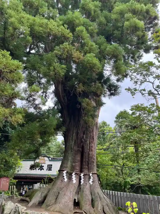 筑波山神社(茨城県)