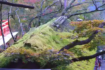 鞍馬寺(京都府)
