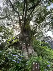 武蔵御嶽神社(東京都)