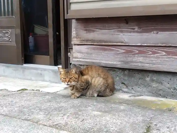 奥津比咩神社(石川県)