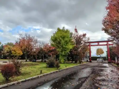 美瑛神社の庭園
