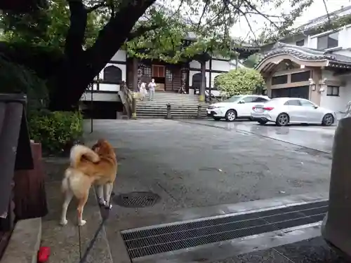 感通寺のその他建物