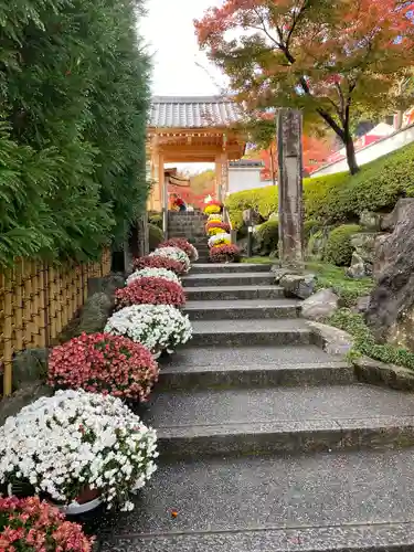 宝徳寺の山門