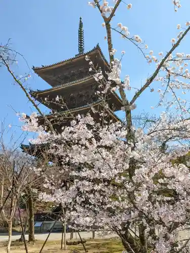 仁和寺(京都府)