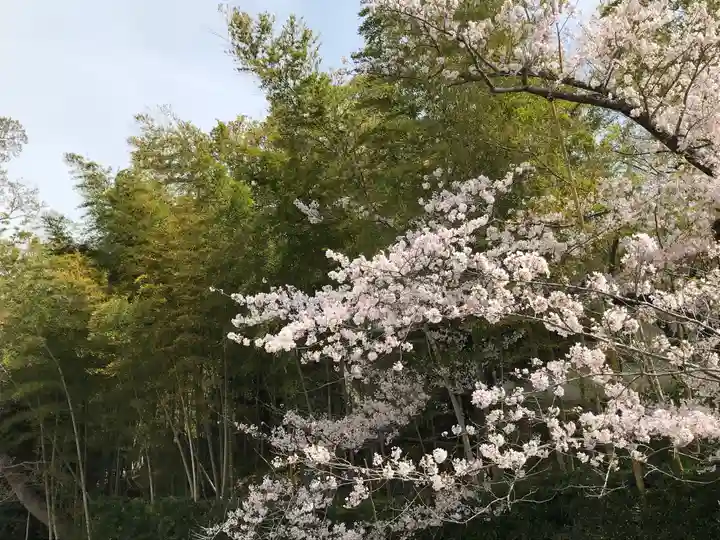 金剛宝寺(紀三井寺)の自然