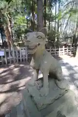 宝登山神社奥宮の狛犬