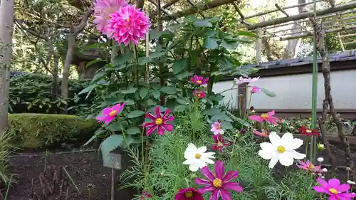 上野東照宮の庭園