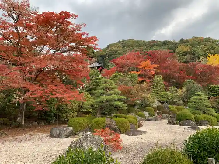 三室戸寺(京都府)