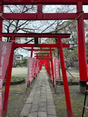於菊稲荷神社の鳥居