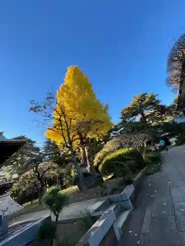 三寳寺(東京都)