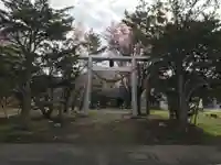 安国神社の鳥居
