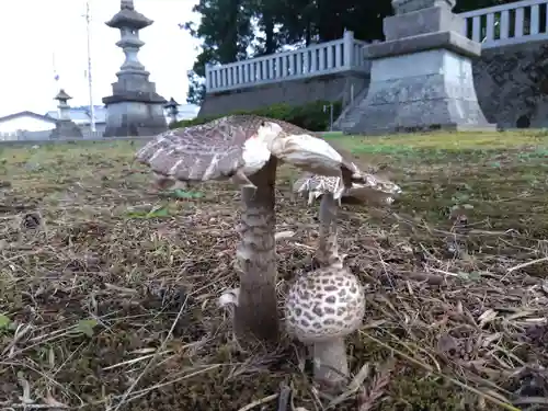 犁神社(福井県)