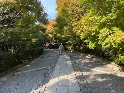 龍安寺(京都府)