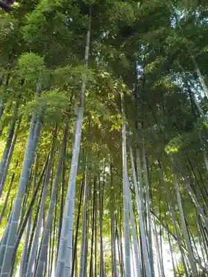 慈宏寺(東京都)