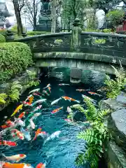 浅草寺の庭園