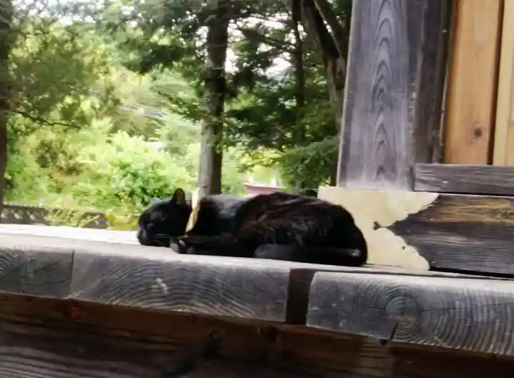 高司神社〜むすびの神の鎮まる社〜(福島県)