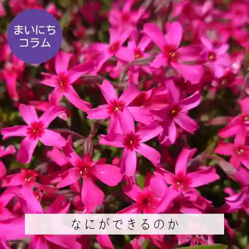 壽徳寺 じゅとくじ(福島県)