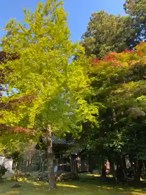 興聖寺(滋賀県)