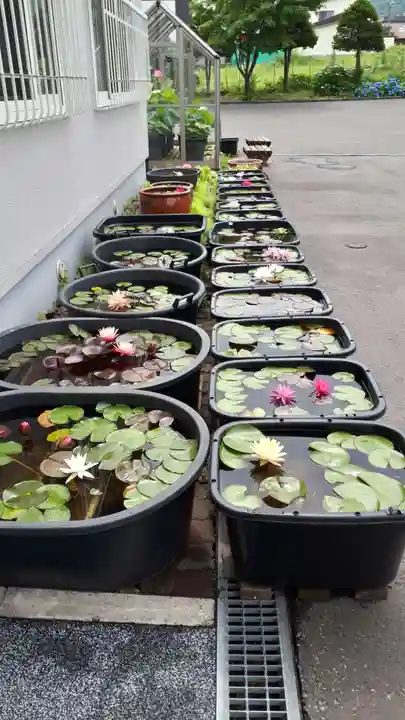 極楽山 浄土寺(北海道)