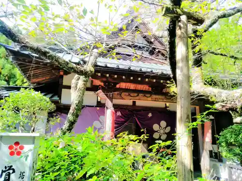 覚林房の本殿・本堂