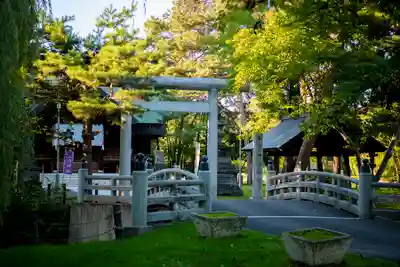 上川神社頓宮の鳥居