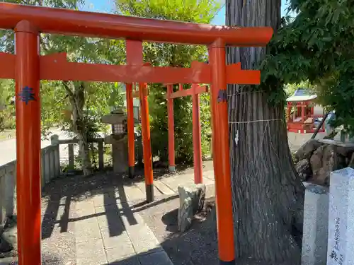 稗田野神社(薭田野神社)(京都府)