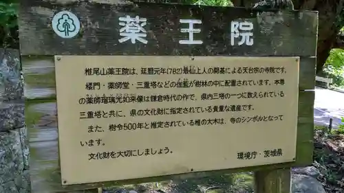 椎尾山薬王院(茨城県)