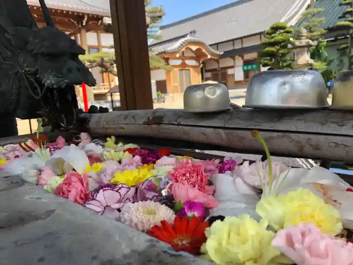 三河三弘法第二番 西福寺の手水舎