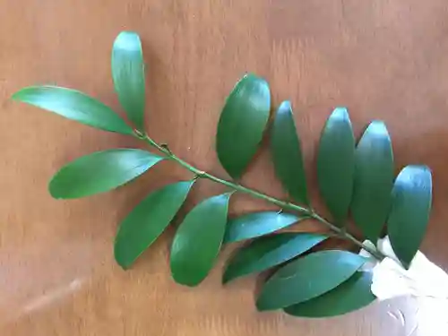 金ヶ作熊野神社の授与品その他