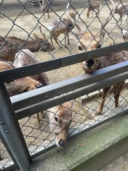 鹿島神宮(茨城県)