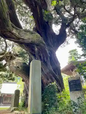 城願寺(神奈川県)