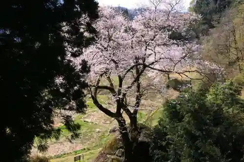 赤岩稲荷神社の景色