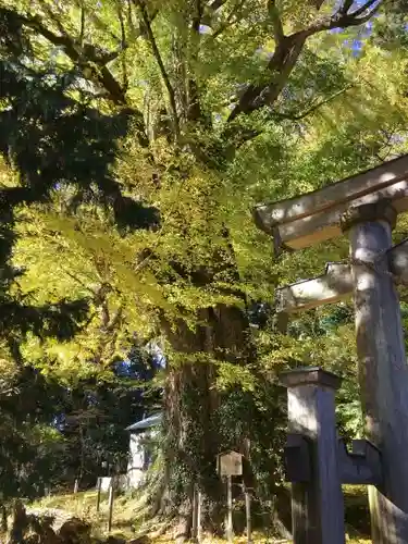 西金砂神社の自然