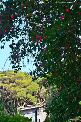 酒列磯前神社(茨城県)