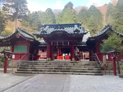 箱根神社の本殿・本堂