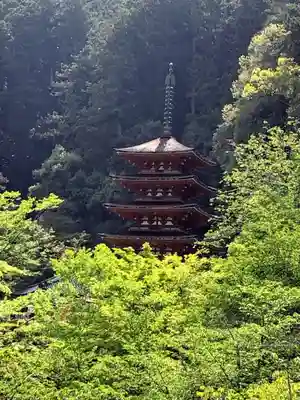 長谷寺の塔