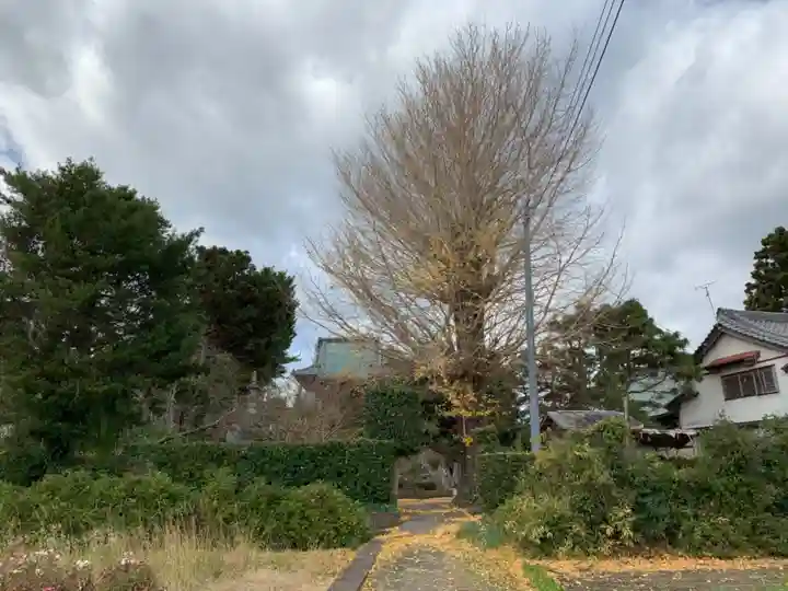 住吉寺のその他建物