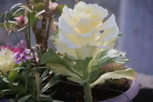 熊野福藏神社の手水舎