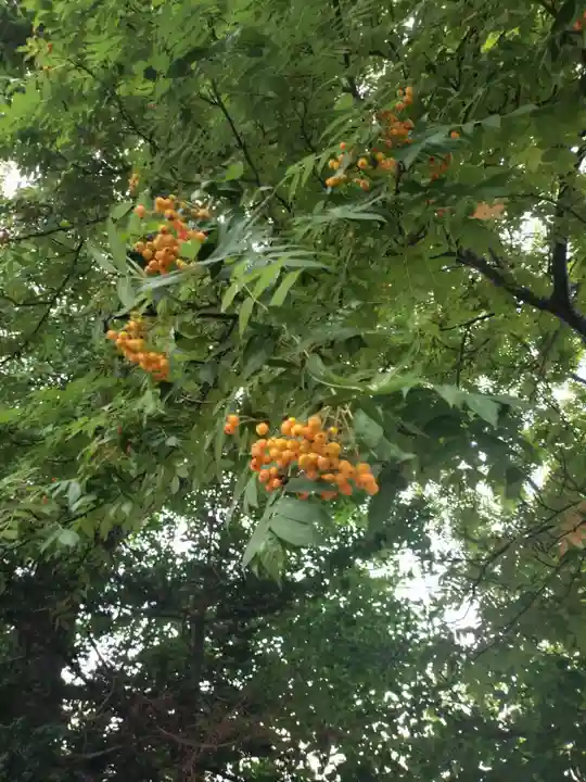 中の島神社(北海道)
