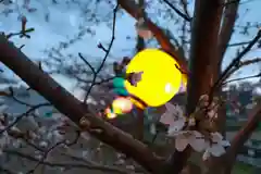 川田八幡神社の自然