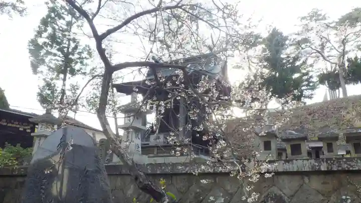豊景神社の自然